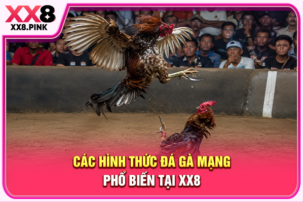 Toàn Tập Về Đá Gà Mạng, Luật Chơi Cùng Cách Tham Gia Các hình thức đá gà mạng phổ biến tại XX8