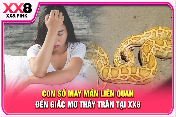 Mơ Thấy Trăn Báo Hiệu Điều Gì, Hé Lộ Ý Nghĩa Và Số Đẹp Con số may mắn liên quan đến giấc mơ thấy trăn tại XX8