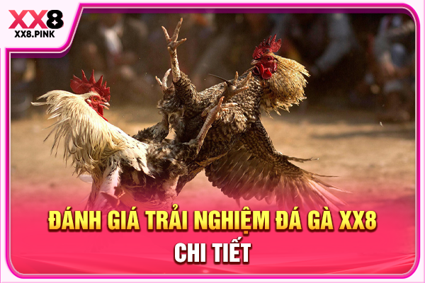 Đá Gà XX8 Đấu Trường Giải Trí Trực Tuyến Đỉnh Cao Đánh giá trải nghiệm đá gà XX8 chi tiết
