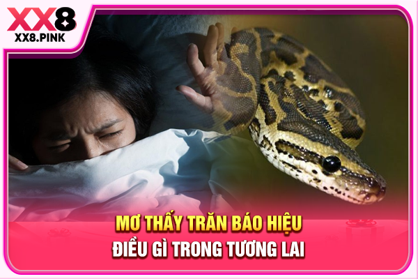 Mơ Thấy Trăn Báo Hiệu Điều Gì, Hé Lộ Ý Nghĩa Và Số Đẹp Mơ thấy trăn báo hiệu điều gì trong tương lai