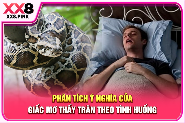 Mơ Thấy Trăn Báo Hiệu Điều Gì, Hé Lộ Ý Nghĩa Và Số Đẹp Phân tích ý nghĩa của giấc mơ thấy trăn theo tình huống