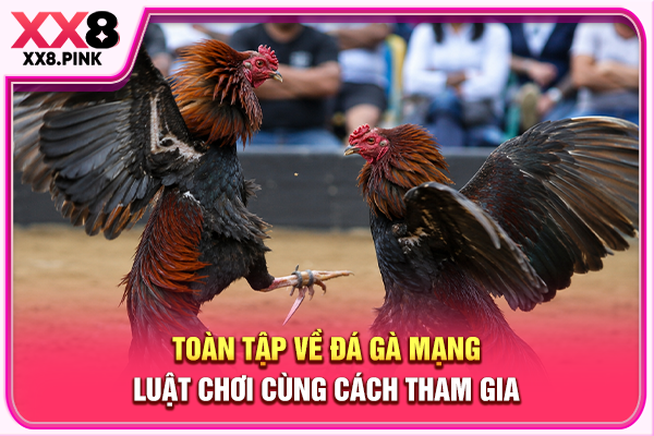 Toàn Tập Về Đá Gà Mạng, Luật Chơi Cùng Cách Tham Gia